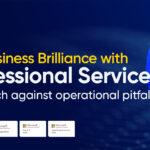Microsoft ERP for professional service